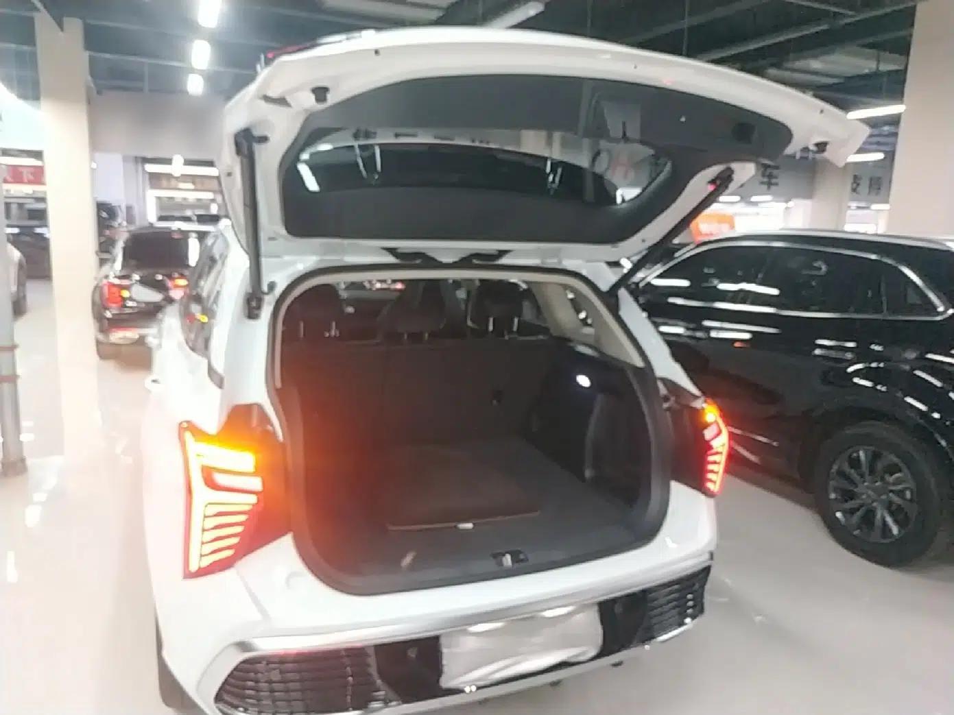 Hongqi HS3 PHEV 2024 PHEV 115km Jingwei Edition — миниатюра 22