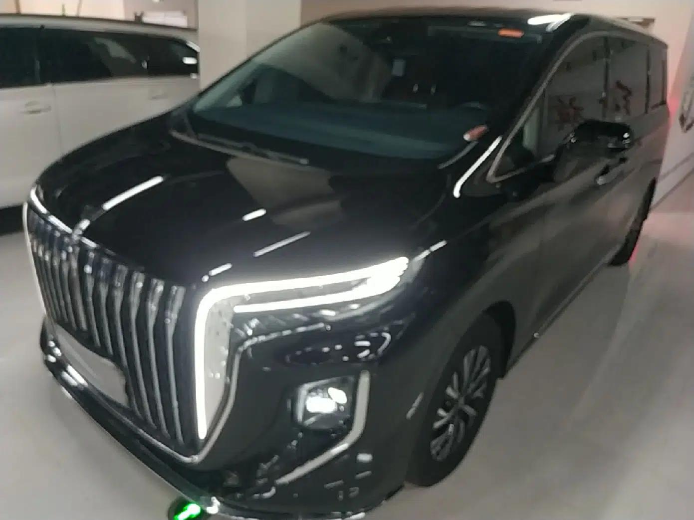 Hongqi HQ9 PHEV 2024 2.0T Four-Wheel Drive Flagship Edition — миниатюра 1