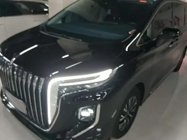 Hongqi HQ9 PHEV 2024 2.0T Four-Wheel Drive Flagship Edition