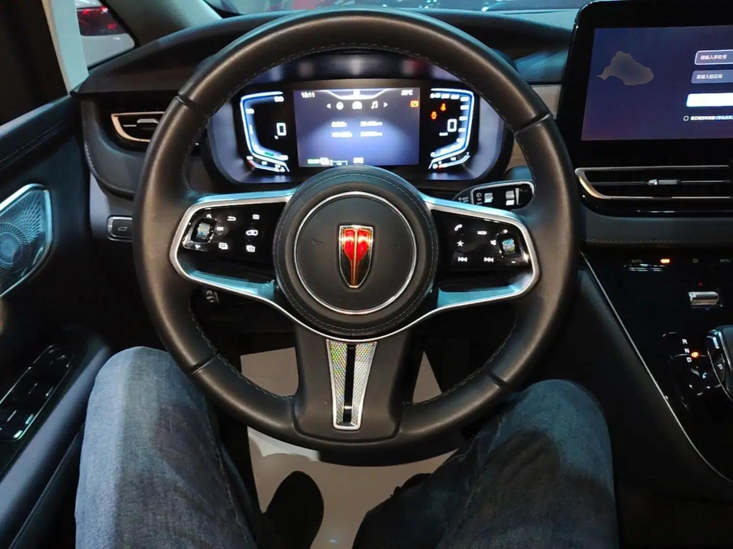 Hongqi HQ9 PHEV 2024 2.0T Four-Wheel Drive Business Edition — миниатюра 14