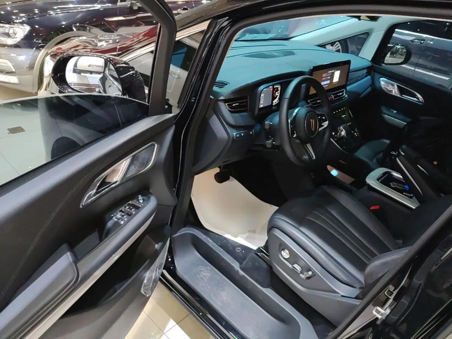 Hongqi HQ9 PHEV 2024 2.0T Four-Wheel Drive Business Edition — миниатюра 19