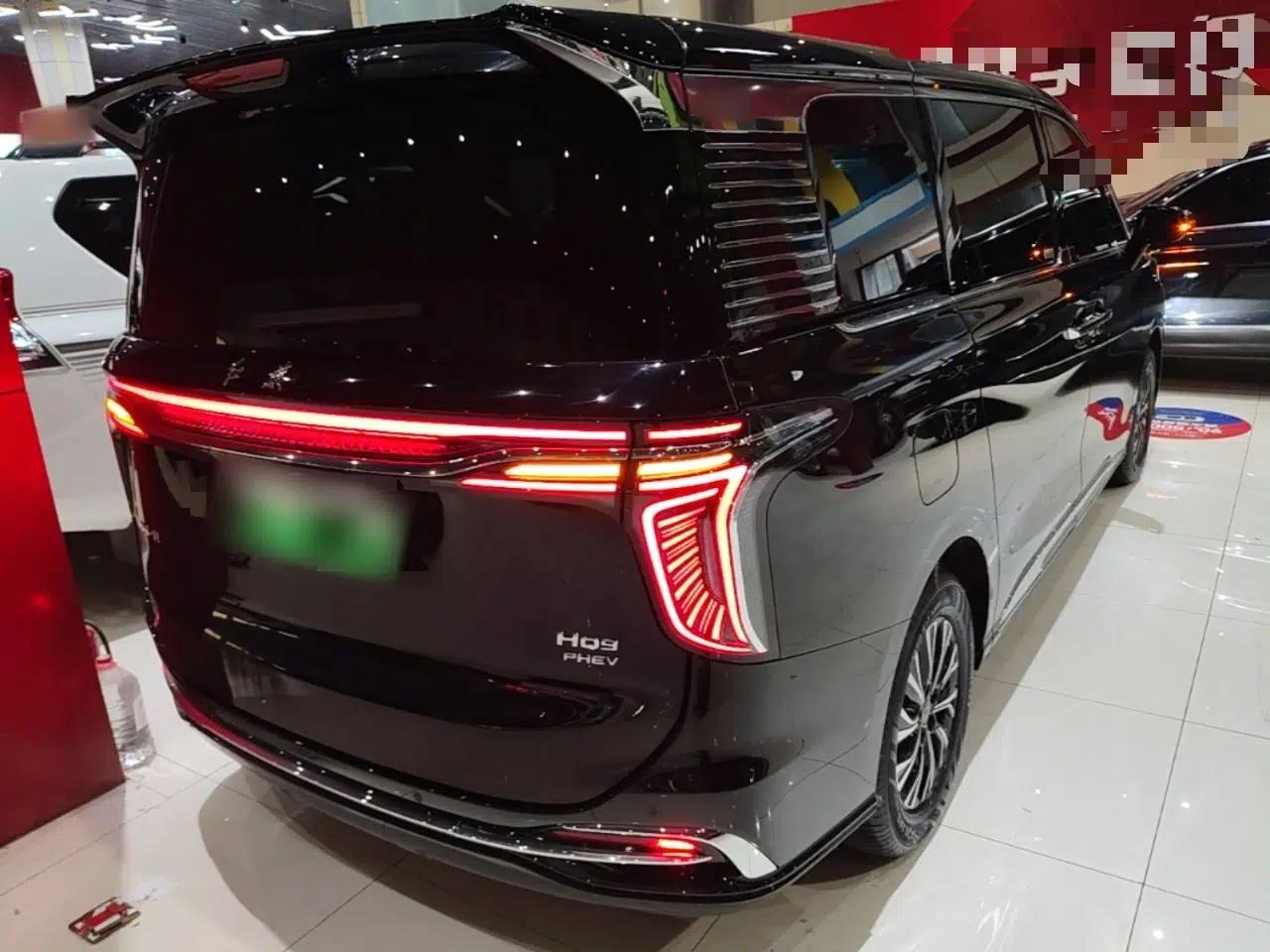 Hongqi HQ9 PHEV 2024 2.0T Four-Wheel Drive Business Edition — миниатюра 6