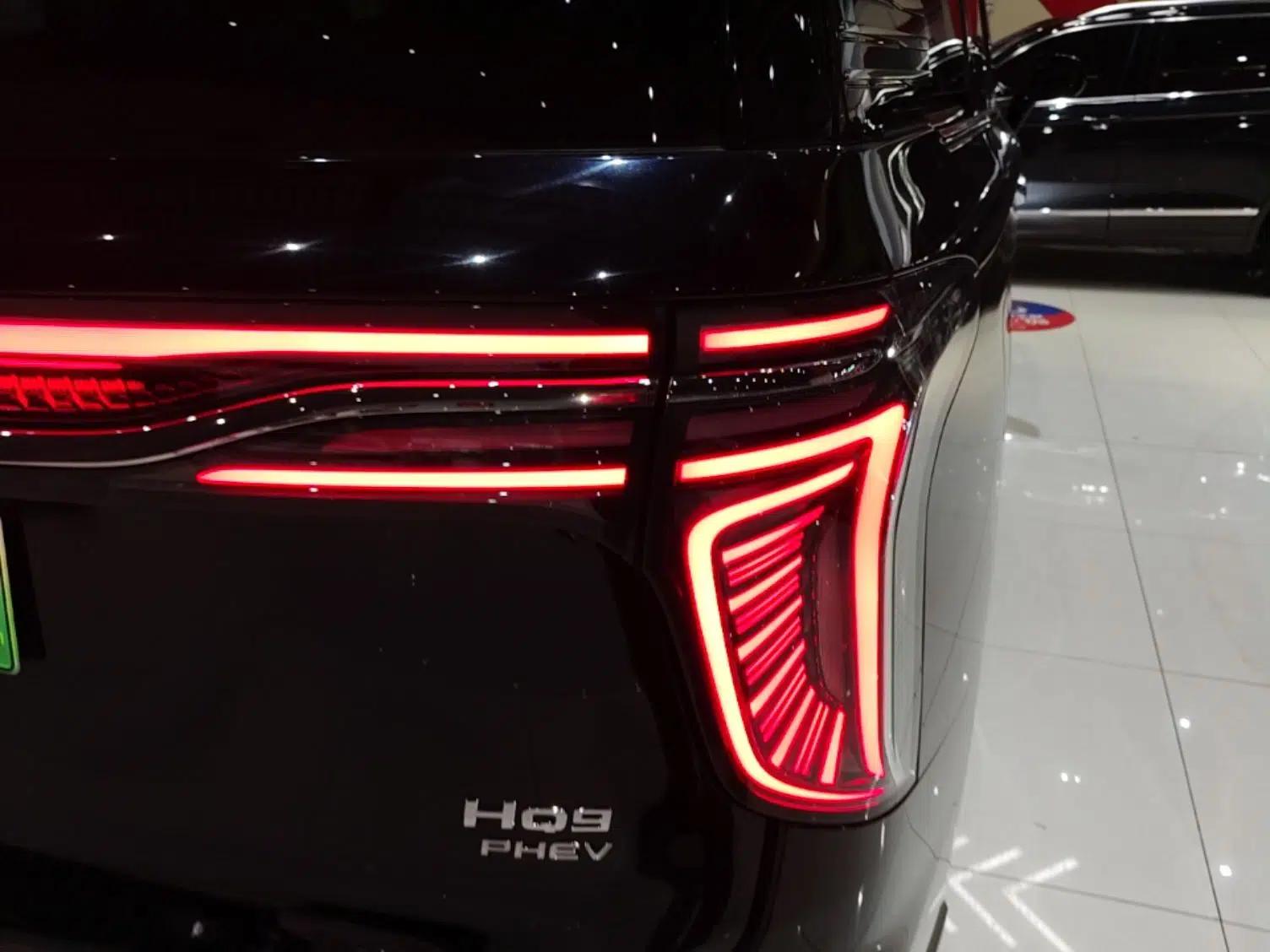 Hongqi HQ9 PHEV 2024 2.0T Four-Wheel Drive Business Edition — миниатюра 7