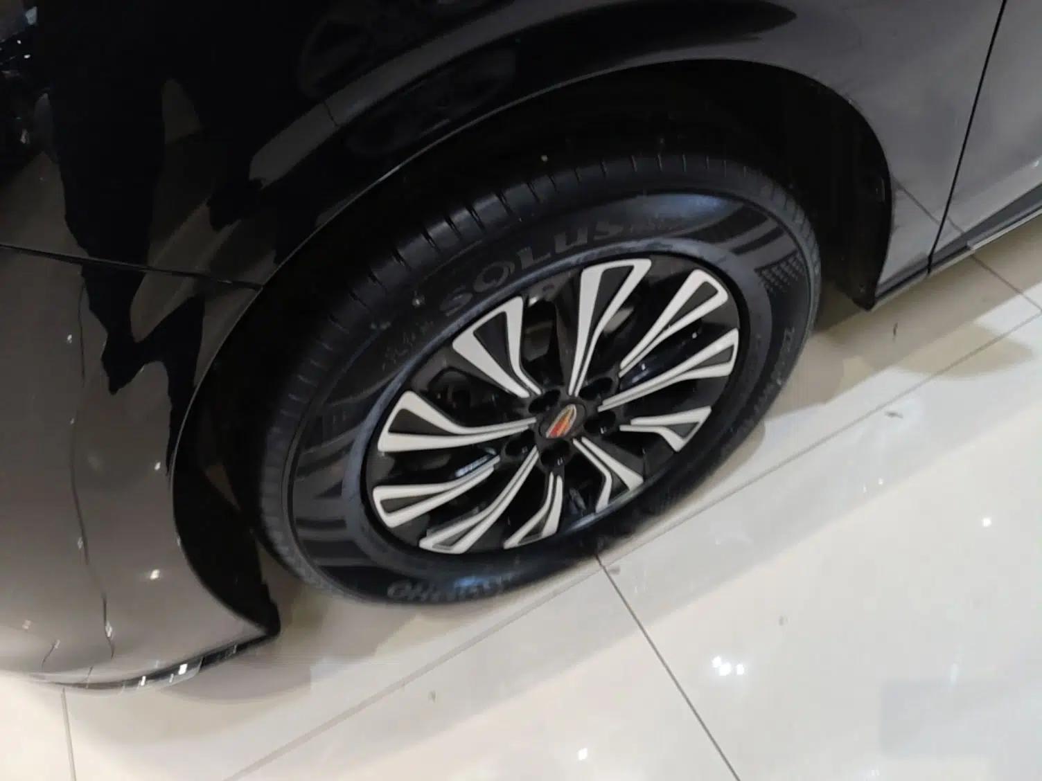 Hongqi HQ9 PHEV 2024 2.0T Four-Wheel Drive Business Edition — миниатюра 8