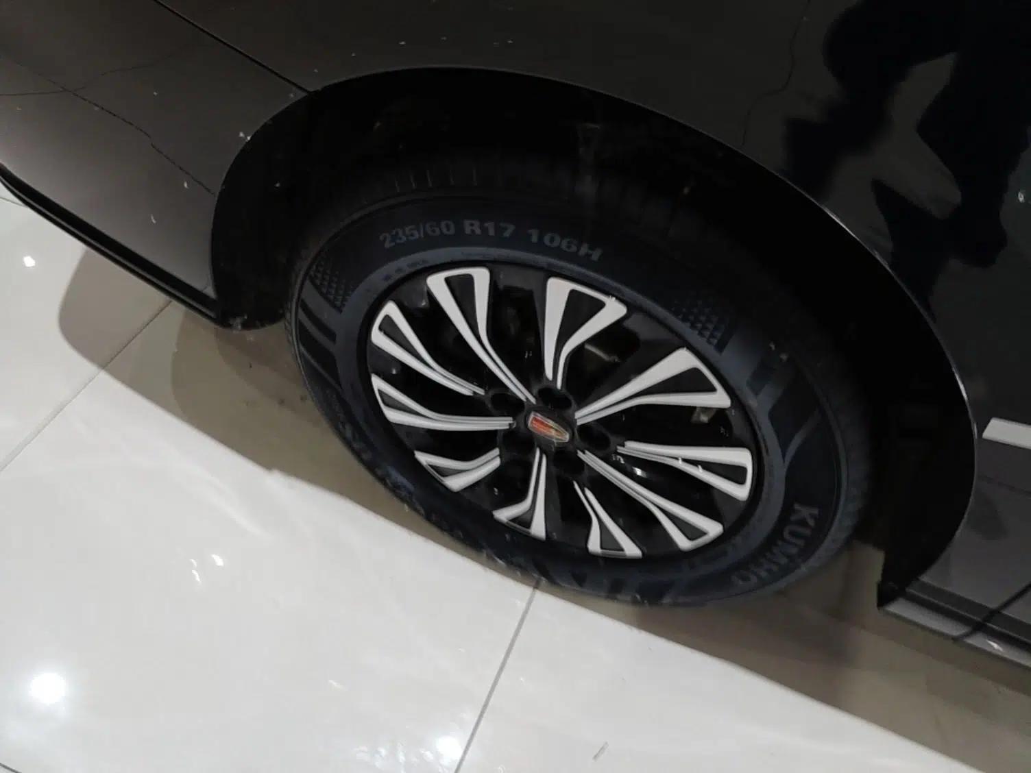 Hongqi HQ9 PHEV 2024 2.0T Four-Wheel Drive Business Edition — миниатюра 10