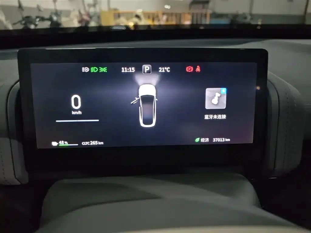 eπ007 2024 Pure Electric 540 AWD Max Edition — миниатюра 12