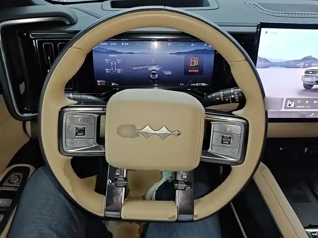 Leopard 5 2023 Navigator Edition — миниатюра 11