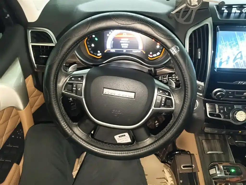 Haval H9 2020 2.0T Gasoline 4WD Premium 5-Seater — миниатюра 11