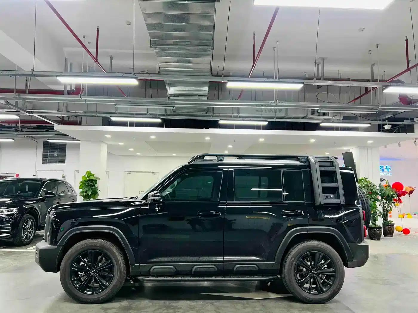Haval Raptor New Energy 2024 Hi4 102 Pro — миниатюра 4
