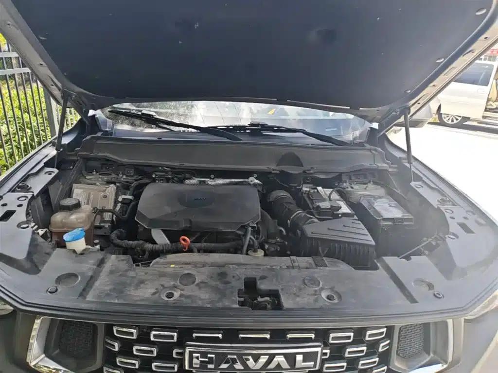 Haval Big Dog PLUS 2023 2.0T 2WD Trendy Wild Edition Plus — миниатюра 20