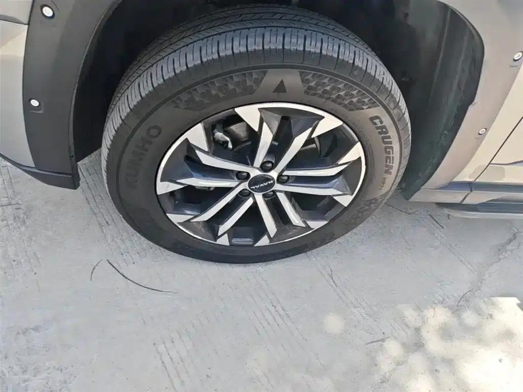 Haval Big Dog PLUS 2023 2.0T 2WD Trendy Wild Edition Plus — миниатюра 23