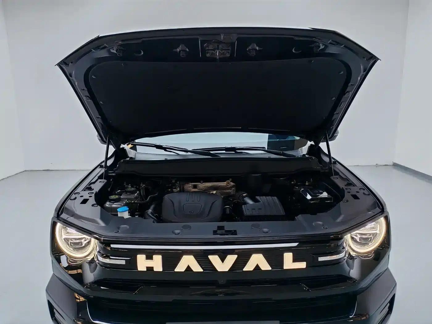 Haval Big Dog PLUS New Energy 2026 Hi4 150km Trendy Electric Edition — миниатюра 17