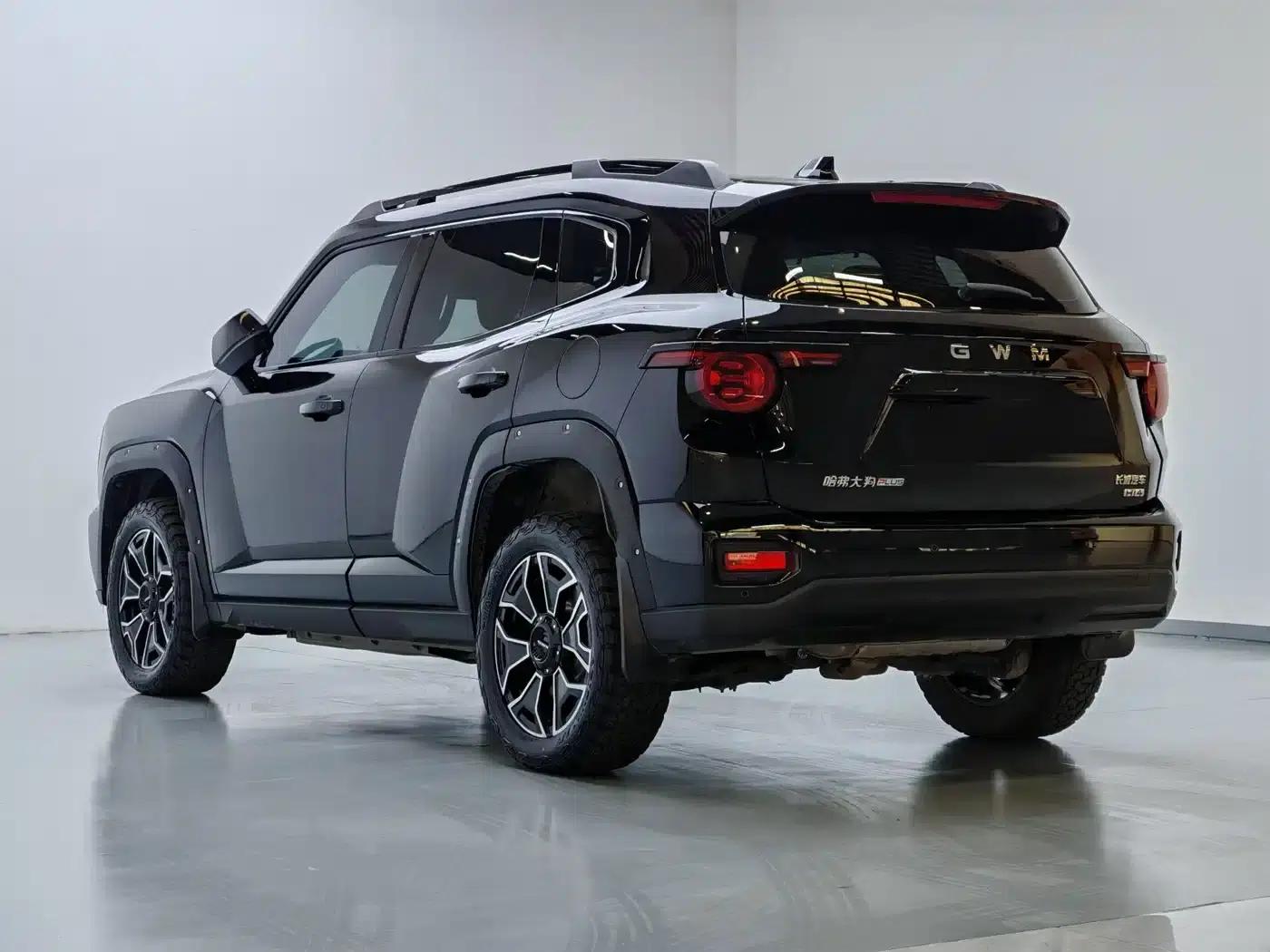Haval Big Dog PLUS New Energy 2026 Hi4 150km Trendy Electric Edition — миниатюра 9