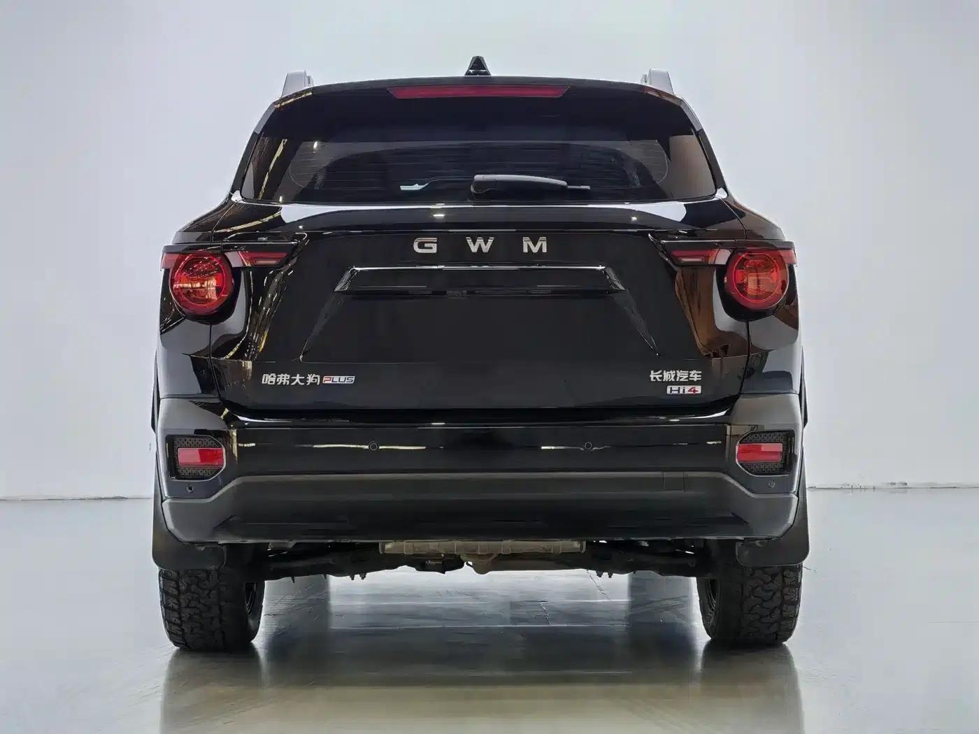 Haval Big Dog PLUS New Energy 2026 Hi4 150km Trendy Electric Edition — миниатюра 10