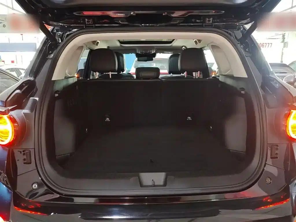Haval Big Dog PLUS New Energy 2024 Hi4 102km Trendy Electric Edition Plus — миниатюра 19