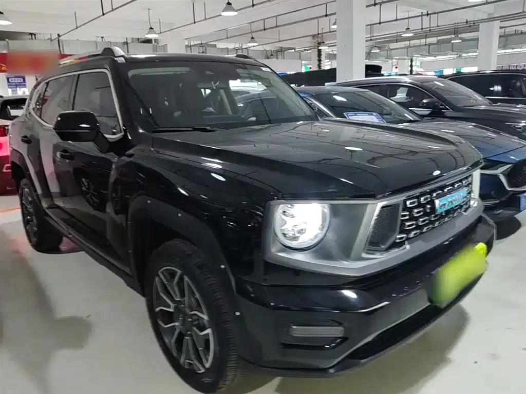 Haval Big Dog PLUS New Energy 2024 Hi4 102km Trendy Electric Edition Plus — миниатюра 4
