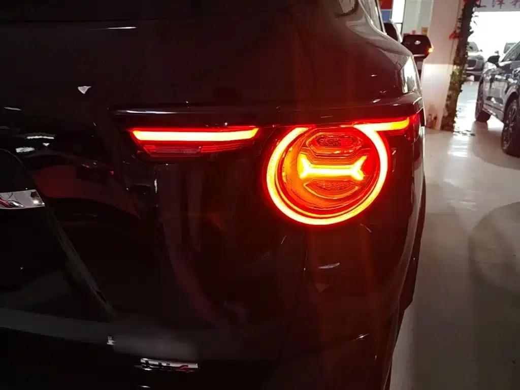 Haval Big Dog PLUS New Energy 2024 Hi4 102km Trendy Electric Edition Plus — миниатюра 8