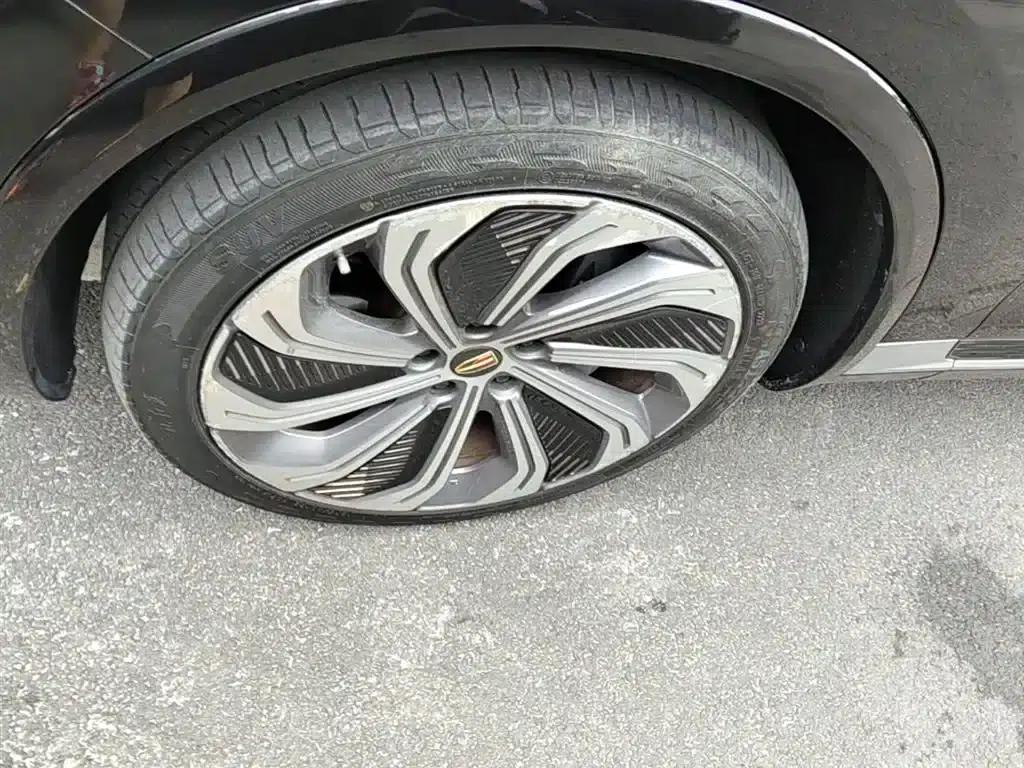 Hongqi E-HS9 2021 Model 510km Flagship Edition (Four Seats) — миниатюра 25