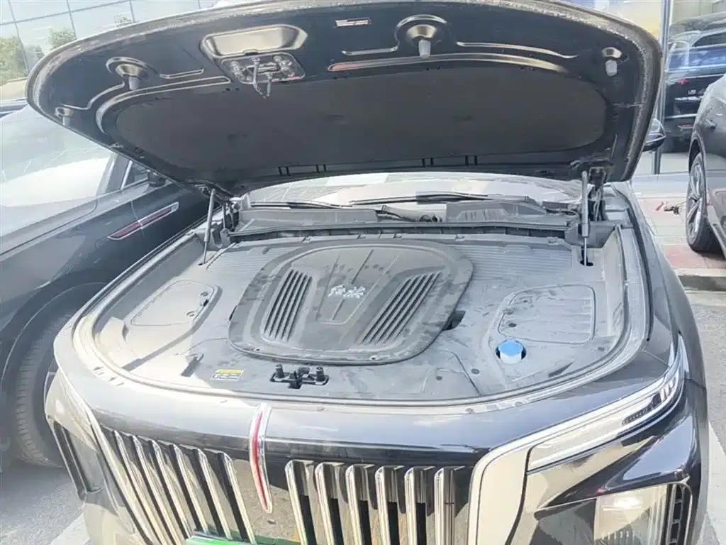 Hongqi E-HS9 2021 Model 460km Flagship Edition (Six Seats) — миниатюра 20