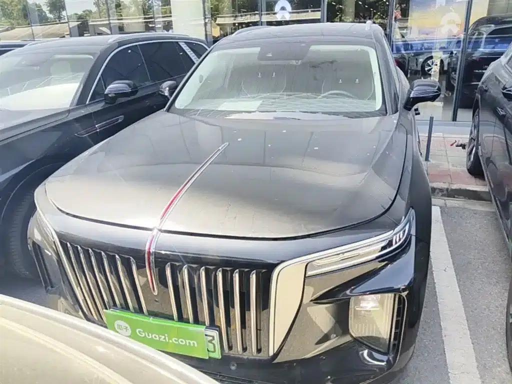 Hongqi E-HS9 2021 Model 460km Flagship Edition (Six Seats) — миниатюра 3