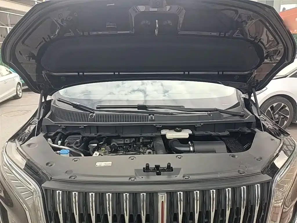 Hongqi HQ9 2023 2.0T Intelligent Flagship Edition — миниатюра 20