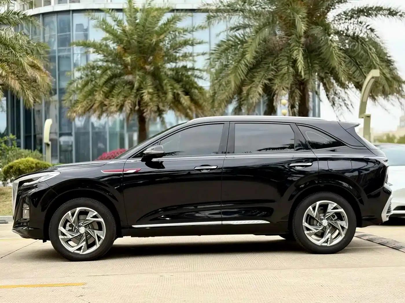 Hongqi HS3 PHEV 2025 Model 125km/h Jinwei 2 Millionth Unit Commemorative Edition — миниатюра 18