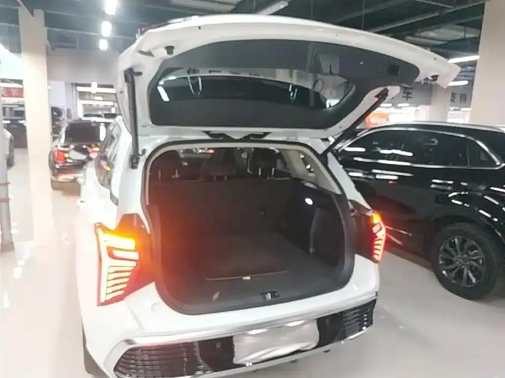 Hongqi HS3 PHEV 2024 Model, 115km/h Performance Edition — миниатюра 19