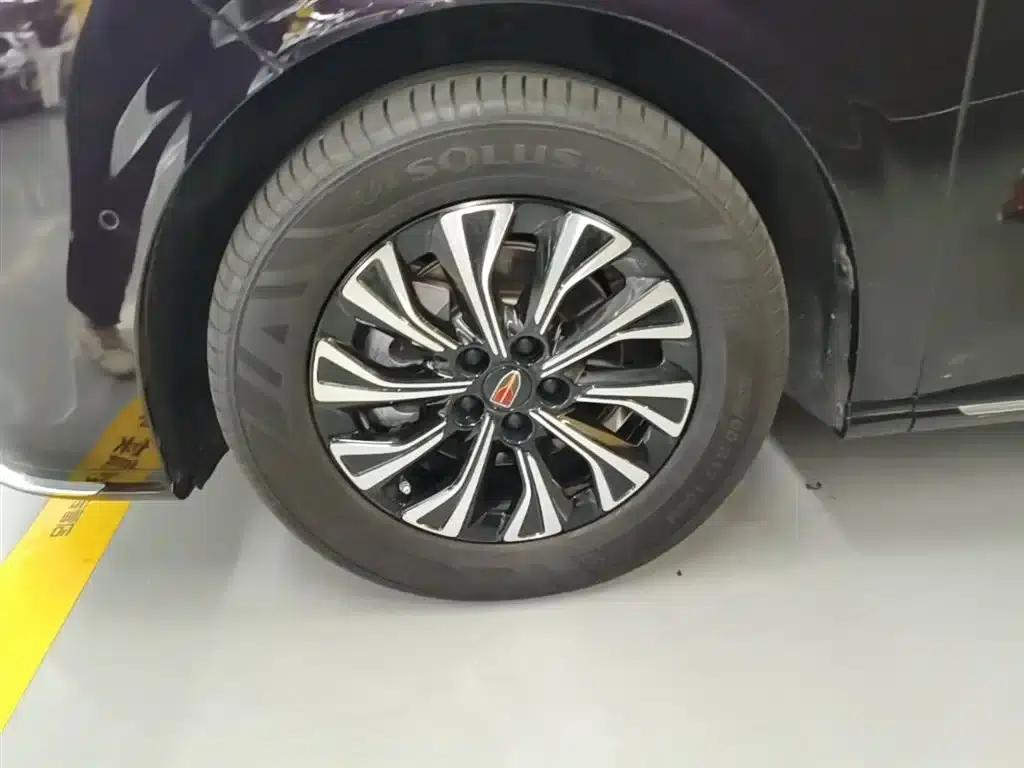 Hongqi HQ9 PHEV 2024 2.0T AWD Luxury Edition — миниатюра 23