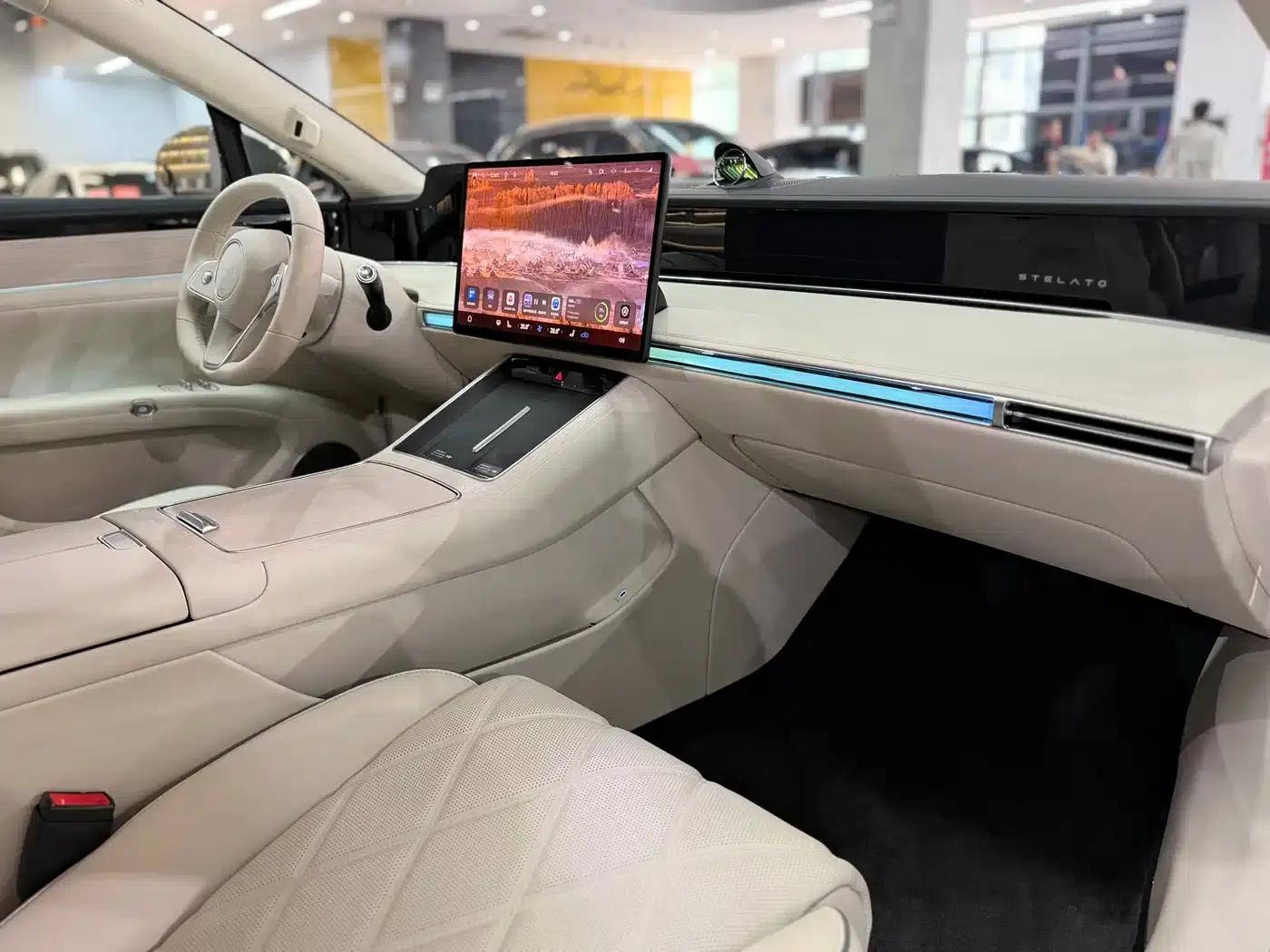 Enjoy S9 2024 Pure Electric Max Rear-Wheel Drive Long-Range Edition — миниатюра 12