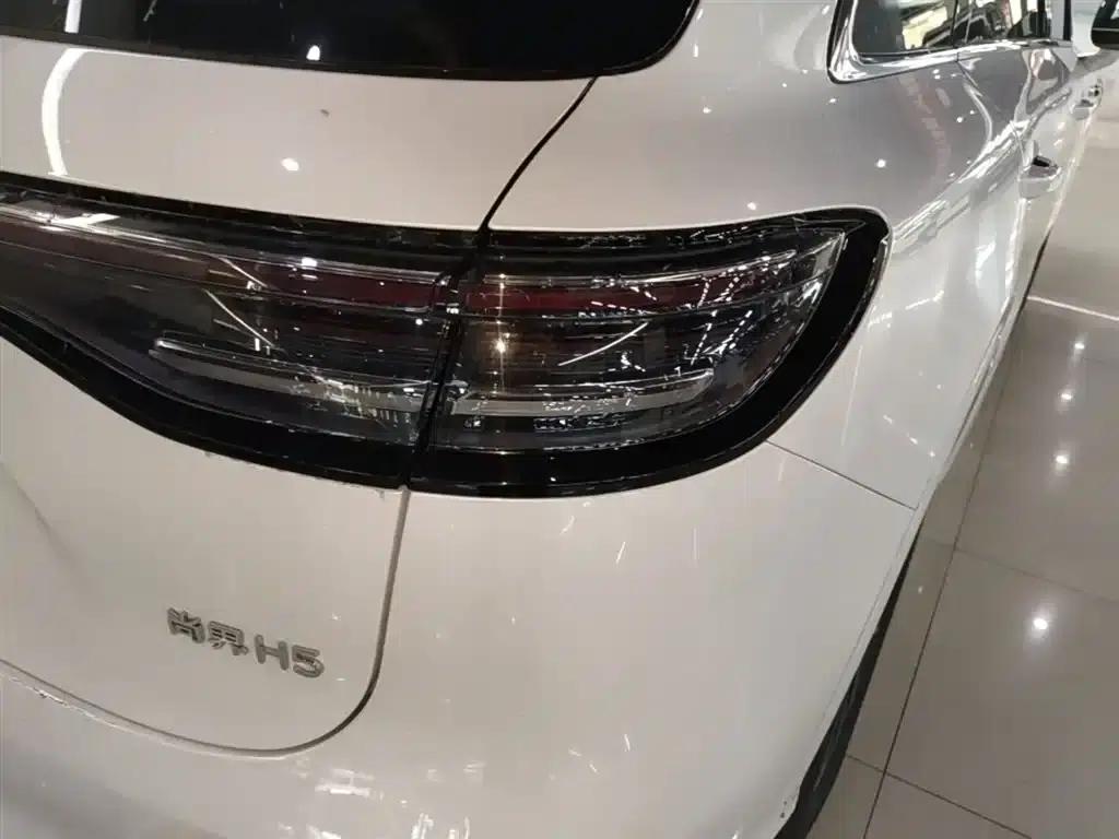 Shangjie H5 2025 Pure Electric Max Long Range — миниатюра 8