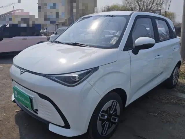 Cowin October 2025 Mate 300km Surfing Edition
