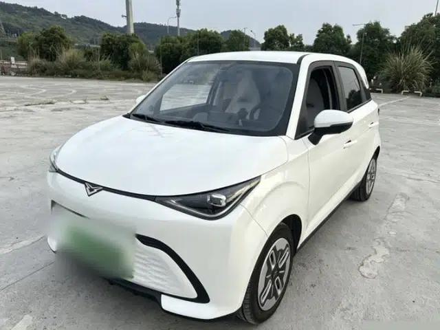 Cowin October 2025 Mate 300km Surfing Edition