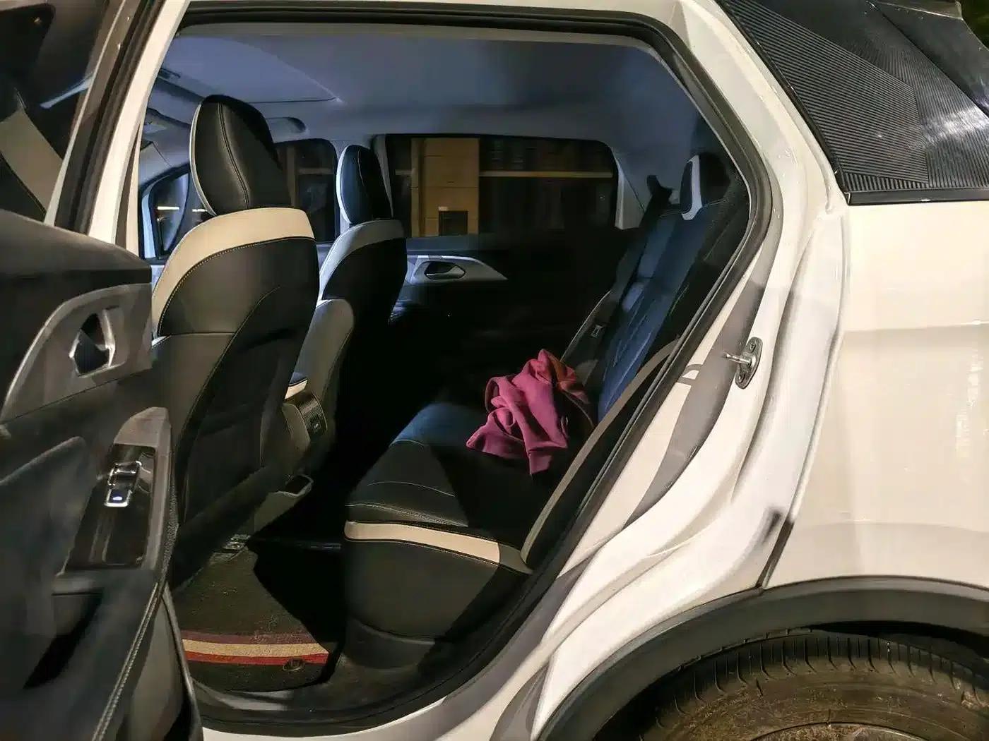 Geely Geometry E Firefly 2023 Model 401KM Linglong Tiger 5-Seater — миниатюра 8