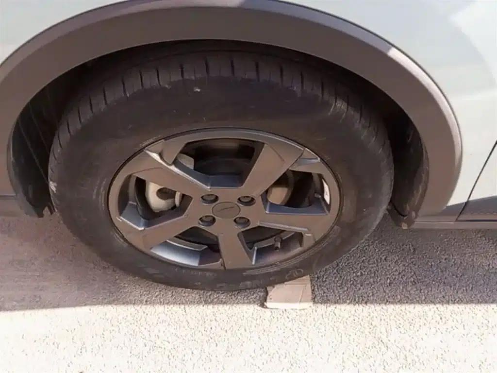 Geely Geometry E Firefly 2023 Model 320KM Cute Tiger 5-Seater — миниатюра 23
