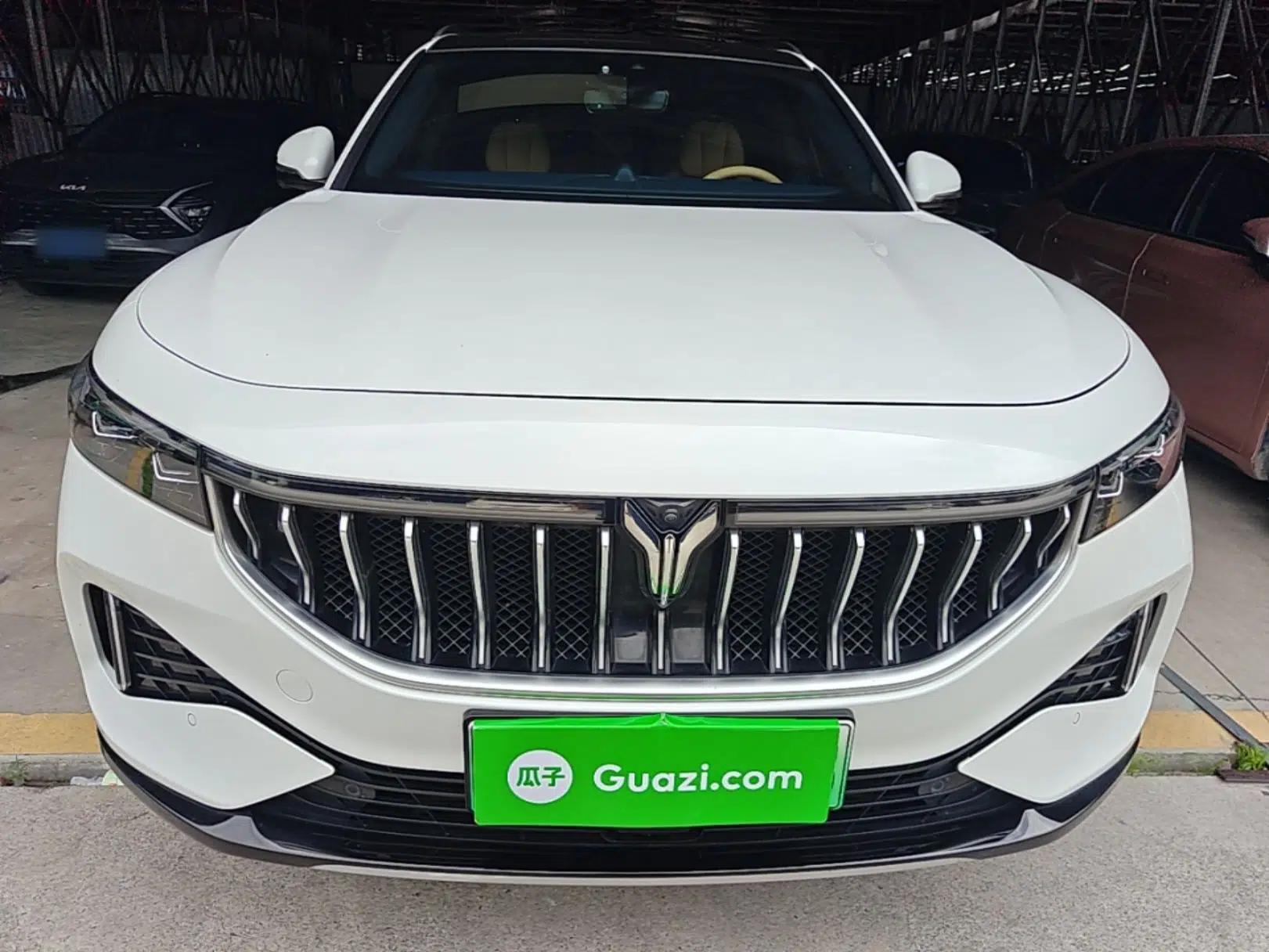 VOYAH FREE 2021 Four-Wheel Drive Standard Range-Extended Exclusive Luxury Package — миниатюра 2