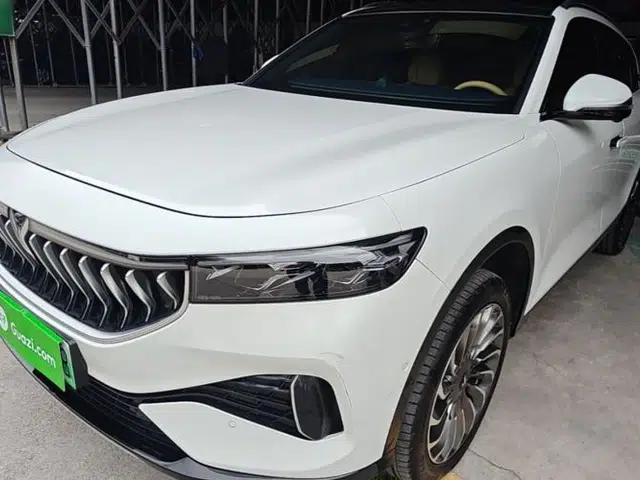 VOYAH FREE 2021 Four-Wheel Drive Standard Range-Extended Exclusive Luxury Package