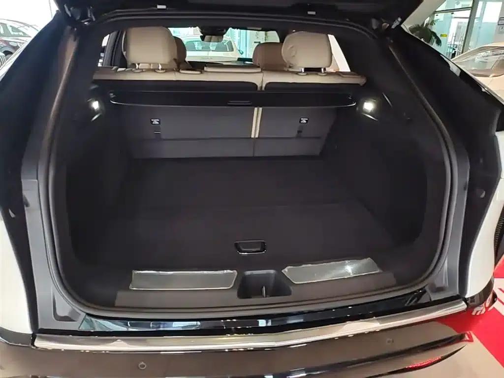 iQ Ruige 2022 Rear-Wheel Drive Long-Range Premium Edition — миниатюра 19