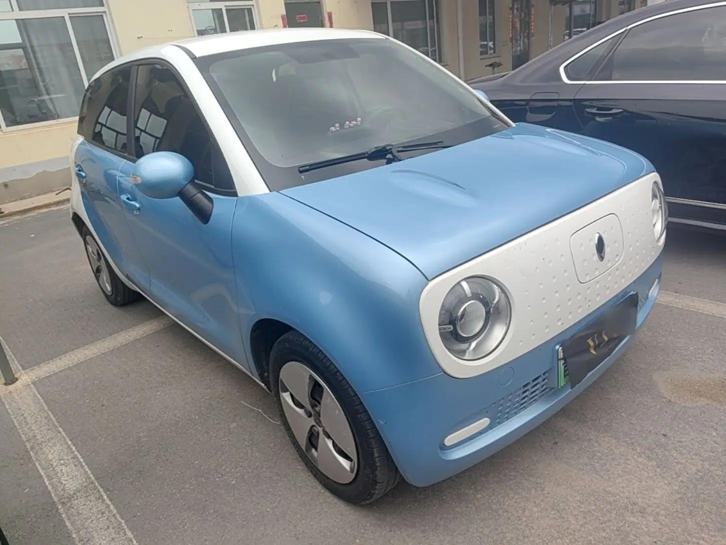 ORA Black Cat 2021 301 km Basic Version — миниатюра 3
