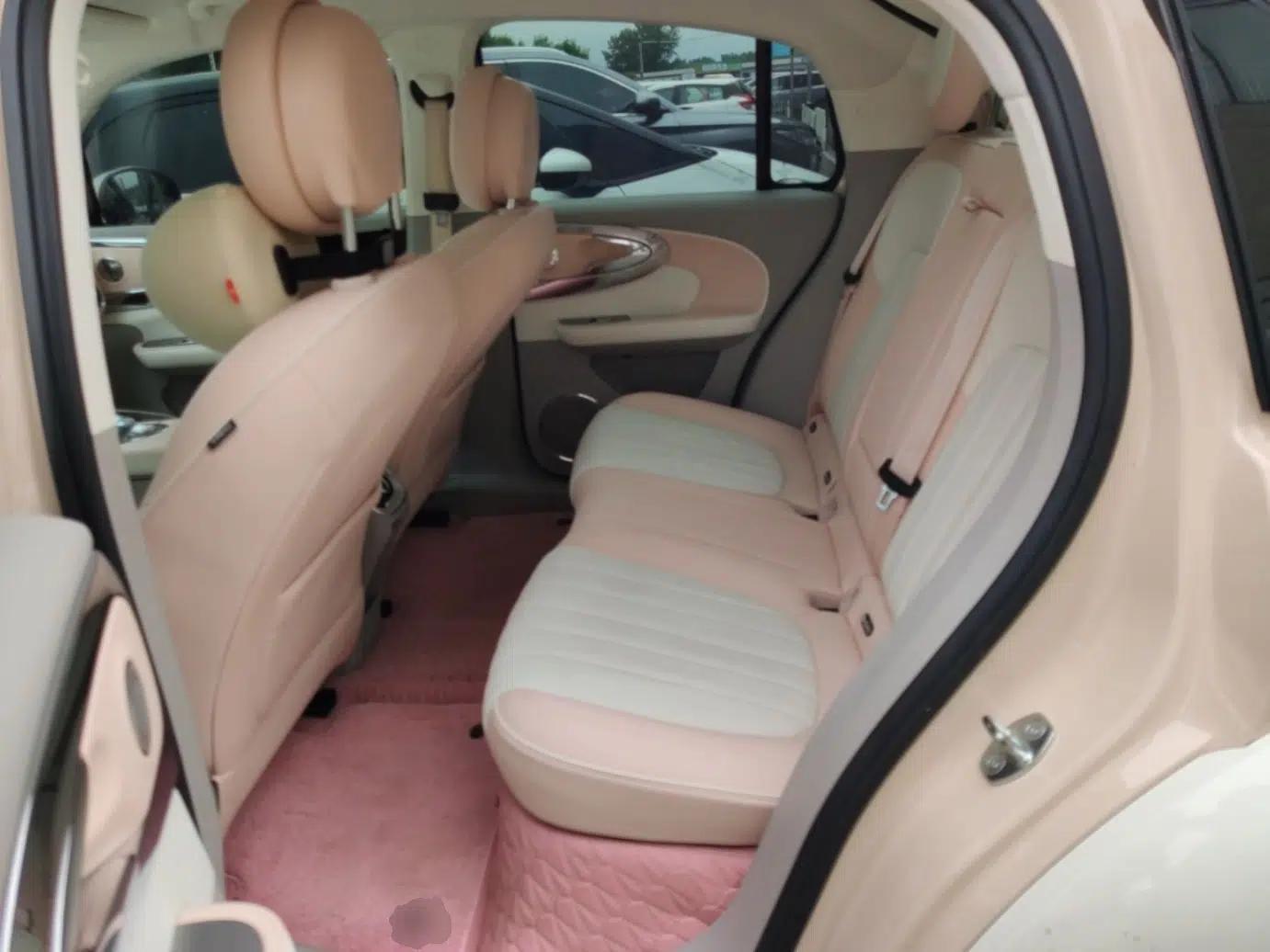 ORA Ballet Cat 2022 500 km Swan Lake Edition — миниатюра 20