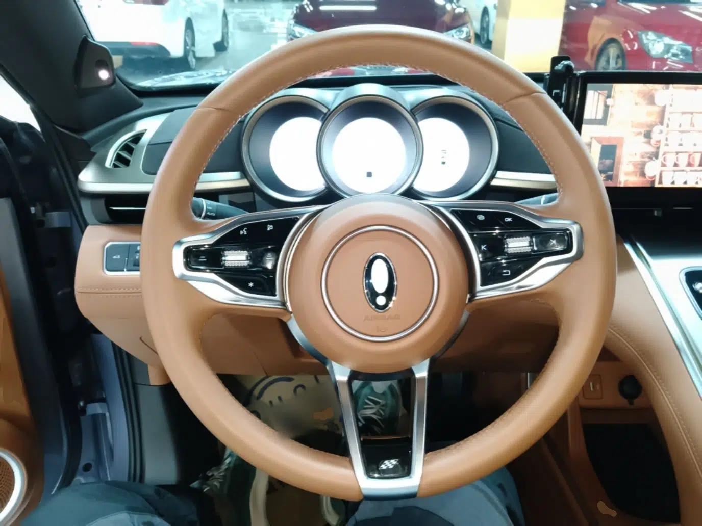ORA Lightning Cat 2022 555 km Luxury Edition — миниатюра 14