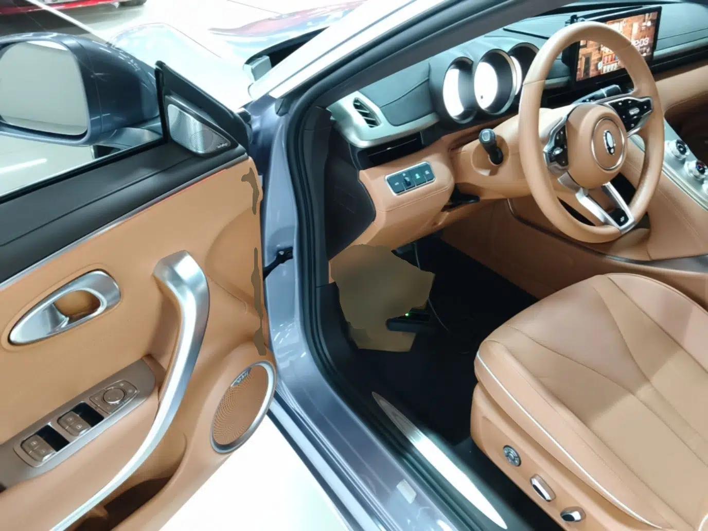 ORA Lightning Cat 2022 555 km Luxury Edition — миниатюра 19