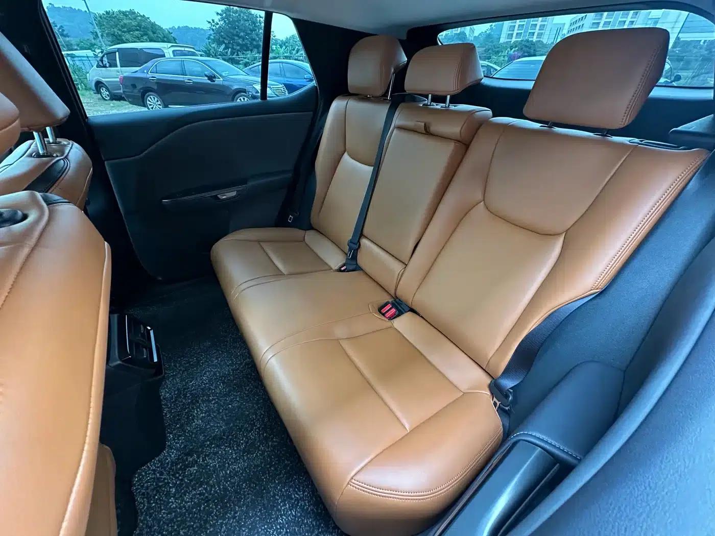 Lexus RZ 2023 450e AWD Long Range Edition — миниатюра 10