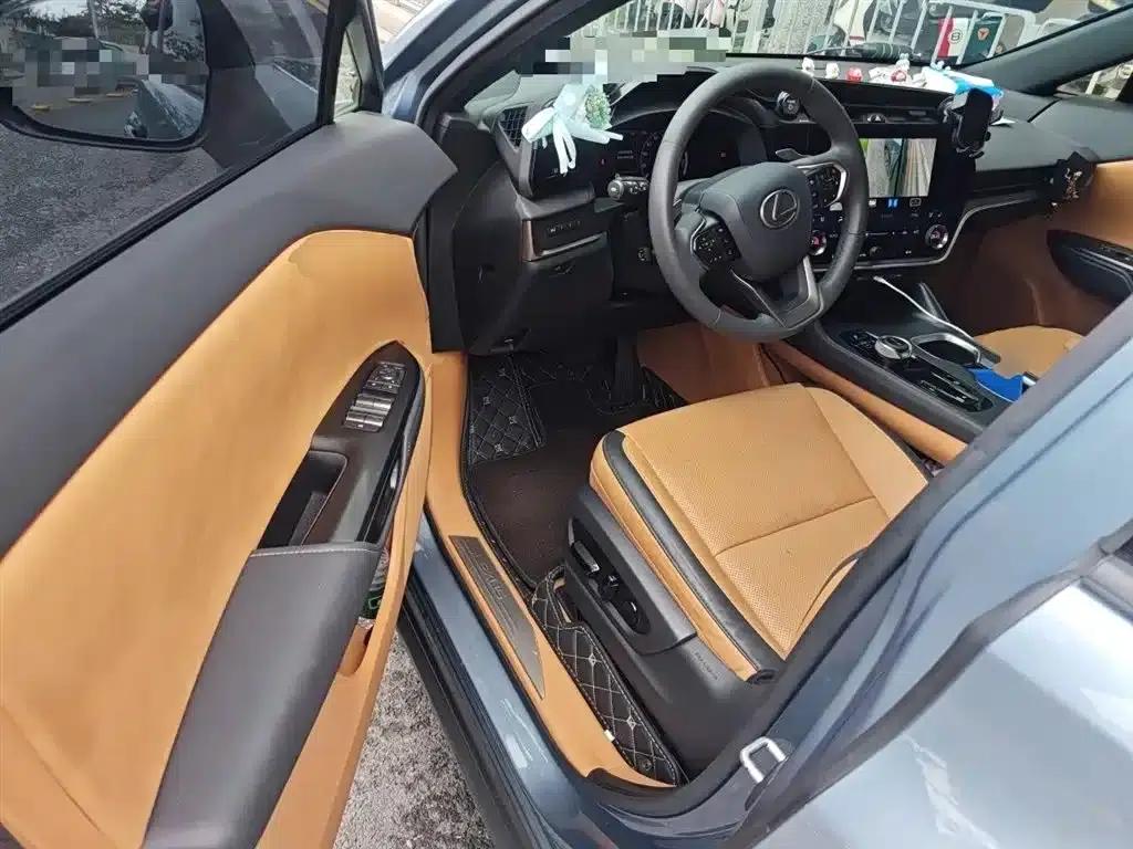 Lexus RZ 2023 450e AWD Luxury Edition — миниатюра 13