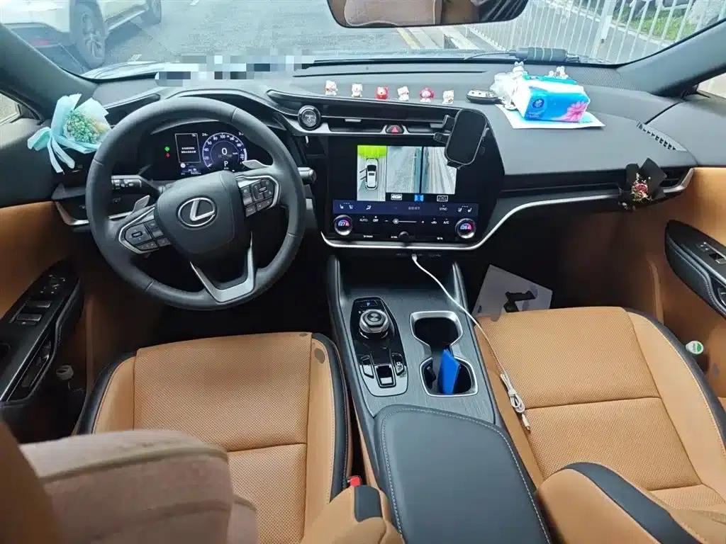 Lexus RZ 2023 450e AWD Luxury Edition — миниатюра 6