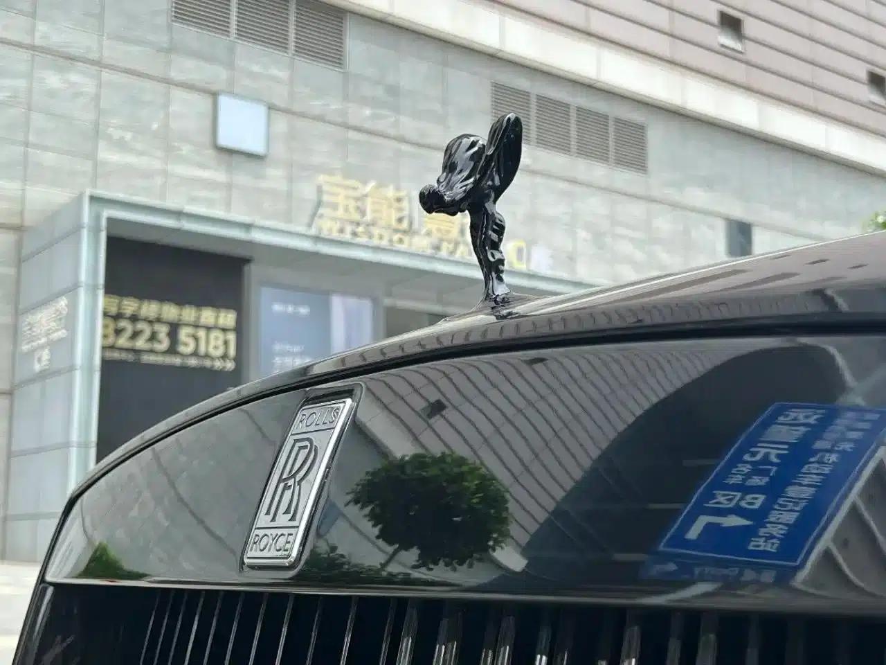 2018 Phantom 6.6T Standard Edition — миниатюра 8