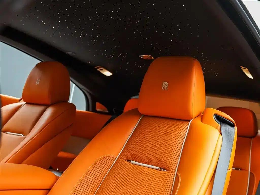 2018 Phantom 6.6T Standard Edition — миниатюра 14