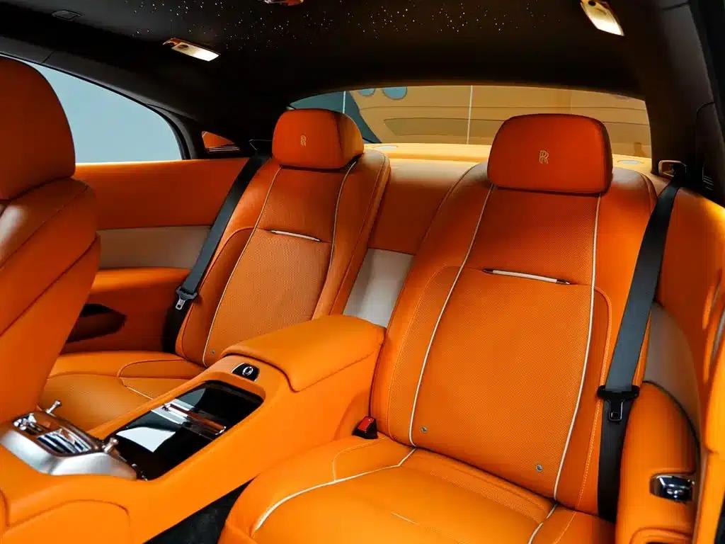2018 Phantom 6.6T Standard Edition — миниатюра 15