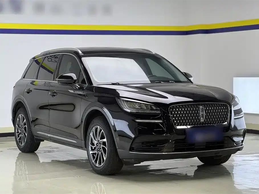 Adventurer 2022 2.0T 2WD Premium Edition — миниатюра 6
