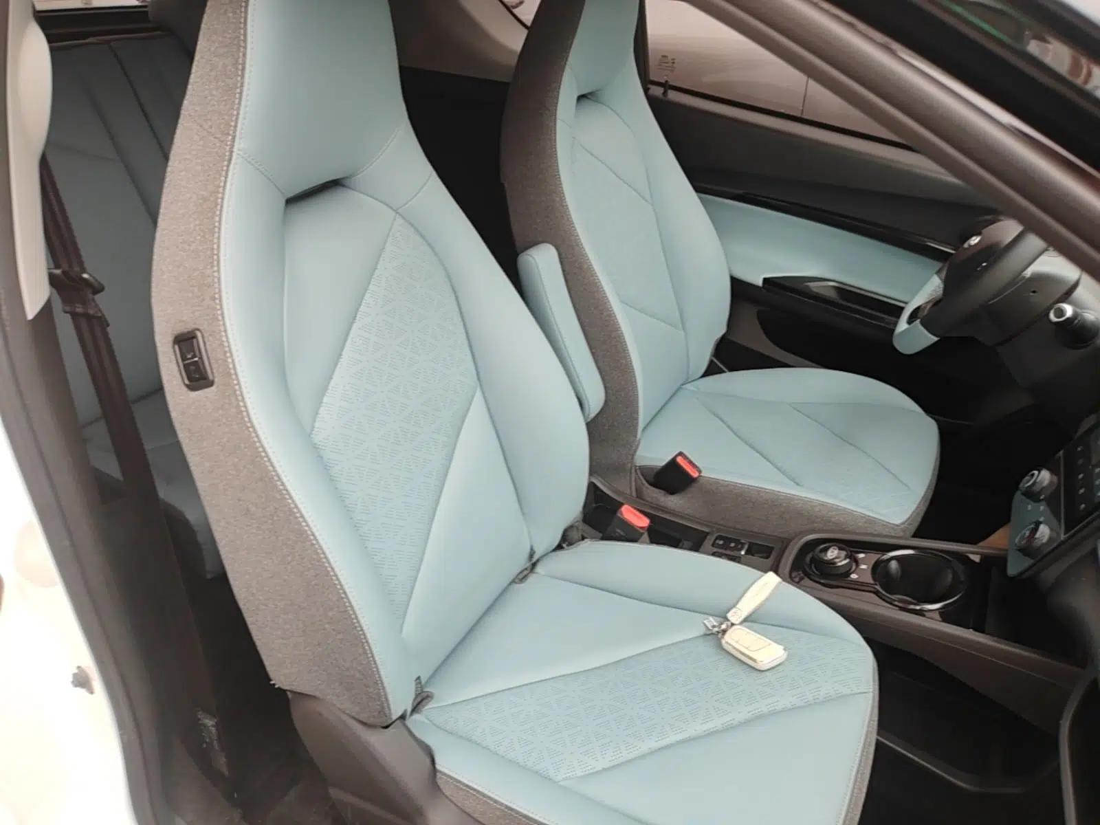 Chery QQ Little Ant 2024 251km True Love Edition — миниатюра 23