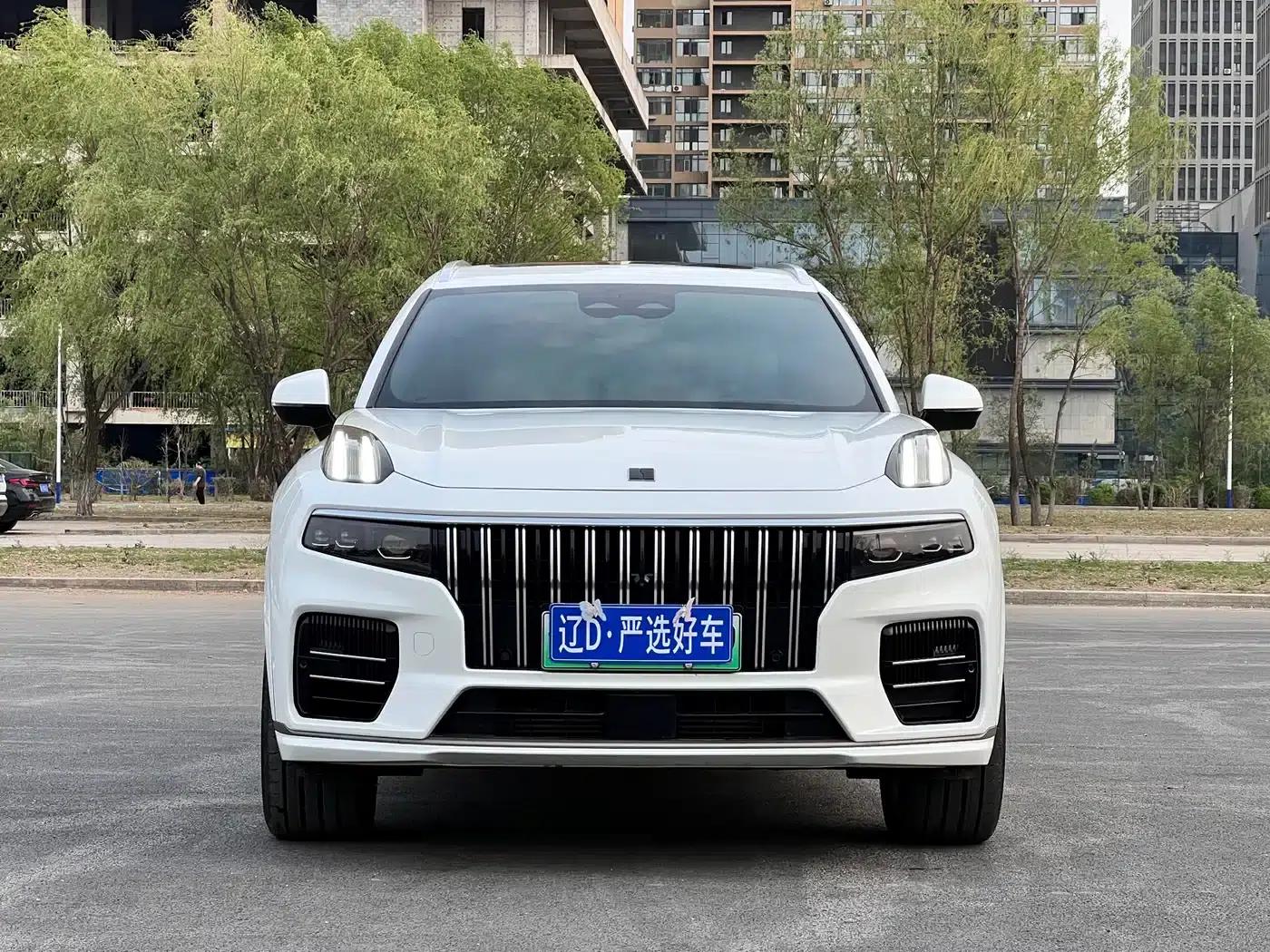 Lynk & Co 09 EM-P 2021 2.0T PHEV Ultra Six-Seater — миниатюра 2